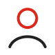 sv-ico2